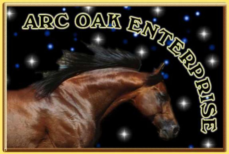 ARC OAK ENTERPRISE