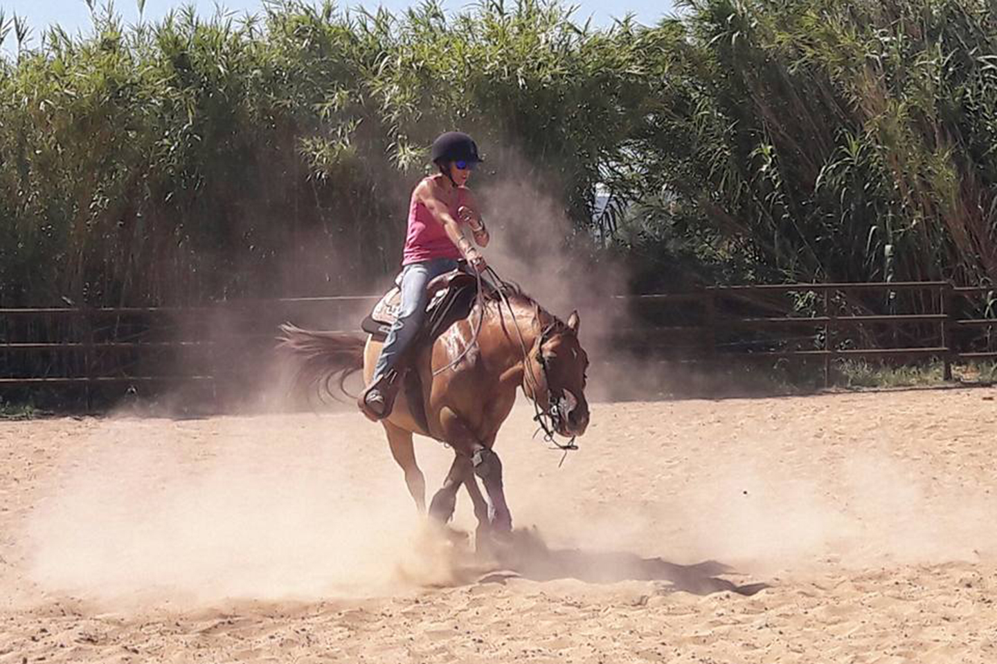 JC RANCH, Centre d’Équitation Western à Graveson