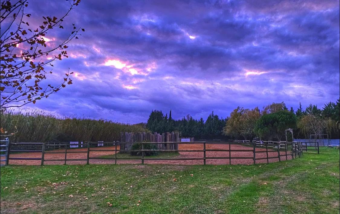 JC RANCH, Centre d’Équitation Western à Graveson